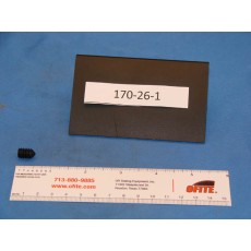 Locking Screw